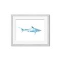 Picture of Blue Splash Shark II _GroupedProduct_Rectangle_Landscape_Mini_ _GroupedProduct_Rectangle_Landscape_Framed_Matted_