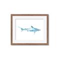 Picture of Blue Splash Shark II _GroupedProduct_Rectangle_Landscape_Mini_ _GroupedProduct_Rectangle_Landscape_Framed_Matted_