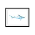 Picture of Blue Splash Shark II _GroupedProduct_Rectangle_Landscape_Mini_ _GroupedProduct_Rectangle_Landscape_Framed_Matted_