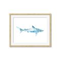 Picture of Blue Splash Shark II _GroupedProduct_Rectangle_Landscape_Mini_ _GroupedProduct_Rectangle_Landscape_Framed_Matted_
