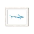 Picture of Blue Splash Shark II _GroupedProduct_Rectangle_Landscape_Mini_ _GroupedProduct_Rectangle_Landscape_Framed_Matted_
