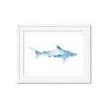 Picture of Blue Splash Shark II _GroupedProduct_Rectangle_Landscape_Mini_ _GroupedProduct_Rectangle_Landscape_Framed_Matted_