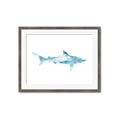 Picture of Blue Splash Shark II _GroupedProduct_Rectangle_Landscape_Mini_ _GroupedProduct_Rectangle_Landscape_Framed_Matted_
