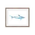 Picture of Blue Splash Shark II _GroupedProduct_Rectangle_Landscape_Mini_ _GroupedProduct_Rectangle_Landscape_Framed_Matted_