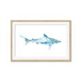 Picture of Blue Splash Shark II _GroupedProduct_Rectangle_Landscape_Mini_ _GroupedProduct_Rectangle_Landscape_Framed_Matted_