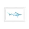 Picture of Blue Splash Shark II _GroupedProduct_Rectangle_Landscape_Mini_ _GroupedProduct_Rectangle_Landscape_Framed_Matted_