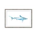 Picture of Blue Splash Shark II _GroupedProduct_Rectangle_Landscape_Mini_ _GroupedProduct_Rectangle_Landscape_Framed_Matted_