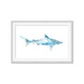 Picture of Blue Splash Shark II _GroupedProduct_Rectangle_Landscape_Mini_ _GroupedProduct_Rectangle_Landscape_Framed_Matted_