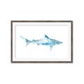 Picture of Blue Splash Shark II _GroupedProduct_Rectangle_Landscape_Mini_ _GroupedProduct_Rectangle_Landscape_Framed_Matted_