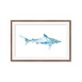 Picture of Blue Splash Shark II _GroupedProduct_Rectangle_Landscape_Mini_ _GroupedProduct_Rectangle_Landscape_Framed_Matted_