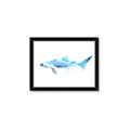 Picture of Blue Splash Shark III _GroupedProduct_Rectangle_Landscape_Mini_ _GroupedProduct_Rectangle_Landscape_Framed_Matted_