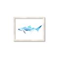 Picture of Blue Splash Shark III _GroupedProduct_Rectangle_Landscape_Mini_ _GroupedProduct_Rectangle_Landscape_Framed_Matted_