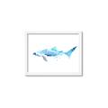 Picture of Blue Splash Shark III _GroupedProduct_Rectangle_Landscape_Mini_ _GroupedProduct_Rectangle_Landscape_Framed_Matted_