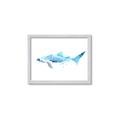 Picture of Blue Splash Shark III _GroupedProduct_Rectangle_Landscape_Mini_ _GroupedProduct_Rectangle_Landscape_Framed_Matted_