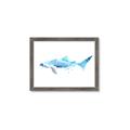 Picture of Blue Splash Shark III _GroupedProduct_Rectangle_Landscape_Mini_ _GroupedProduct_Rectangle_Landscape_Framed_Matted_