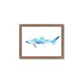 Picture of Blue Splash Shark III _GroupedProduct_Rectangle_Landscape_Mini_ _GroupedProduct_Rectangle_Landscape_Framed_Matted_