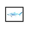 Picture of Blue Splash Shark III _GroupedProduct_Rectangle_Landscape_Mini_ _GroupedProduct_Rectangle_Landscape_Framed_Matted_