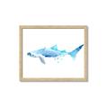 Picture of Blue Splash Shark III _GroupedProduct_Rectangle_Landscape_Mini_ _GroupedProduct_Rectangle_Landscape_Framed_Matted_