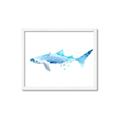 Picture of Blue Splash Shark III _GroupedProduct_Rectangle_Landscape_Mini_ _GroupedProduct_Rectangle_Landscape_Framed_Matted_