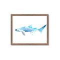 Picture of Blue Splash Shark III _GroupedProduct_Rectangle_Landscape_Mini_ _GroupedProduct_Rectangle_Landscape_Framed_Matted_
