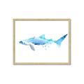 Picture of Blue Splash Shark III _GroupedProduct_Rectangle_Landscape_Mini_ _GroupedProduct_Rectangle_Landscape_Framed_Matted_