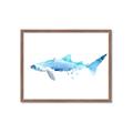 Picture of Blue Splash Shark III _GroupedProduct_Rectangle_Landscape_Mini_ _GroupedProduct_Rectangle_Landscape_Framed_Matted_