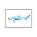 Picture of Blue Splash Shark III _GroupedProduct_Rectangle_Landscape_Mini_ _GroupedProduct_Rectangle_Landscape_Framed_Matted_