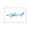 Picture of Blue Splash Shark III _GroupedProduct_Rectangle_Landscape_Mini_ _GroupedProduct_Rectangle_Landscape_Framed_Matted_