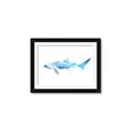Picture of Blue Splash Shark III _GroupedProduct_Rectangle_Landscape_Mini_ _GroupedProduct_Rectangle_Landscape_Framed_Matted_