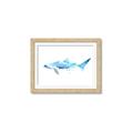 Picture of Blue Splash Shark III _GroupedProduct_Rectangle_Landscape_Mini_ _GroupedProduct_Rectangle_Landscape_Framed_Matted_