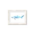 Picture of Blue Splash Shark III _GroupedProduct_Rectangle_Landscape_Mini_ _GroupedProduct_Rectangle_Landscape_Framed_Matted_