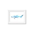 Picture of Blue Splash Shark III _GroupedProduct_Rectangle_Landscape_Mini_ _GroupedProduct_Rectangle_Landscape_Framed_Matted_