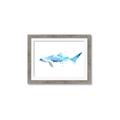 Picture of Blue Splash Shark III _GroupedProduct_Rectangle_Landscape_Mini_ _GroupedProduct_Rectangle_Landscape_Framed_Matted_