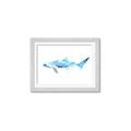 Picture of Blue Splash Shark III _GroupedProduct_Rectangle_Landscape_Mini_ _GroupedProduct_Rectangle_Landscape_Framed_Matted_