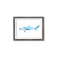 Picture of Blue Splash Shark III _GroupedProduct_Rectangle_Landscape_Mini_ _GroupedProduct_Rectangle_Landscape_Framed_Matted_