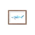 Picture of Blue Splash Shark III _GroupedProduct_Rectangle_Landscape_Mini_ _GroupedProduct_Rectangle_Landscape_Framed_Matted_