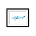 Picture of Blue Splash Shark III _GroupedProduct_Rectangle_Landscape_Mini_ _GroupedProduct_Rectangle_Landscape_Framed_Matted_