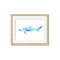 Picture of Blue Splash Shark III _GroupedProduct_Rectangle_Landscape_Mini_ _GroupedProduct_Rectangle_Landscape_Framed_Matted_