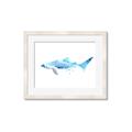Picture of Blue Splash Shark III _GroupedProduct_Rectangle_Landscape_Mini_ _GroupedProduct_Rectangle_Landscape_Framed_Matted_
