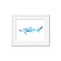 Picture of Blue Splash Shark III _GroupedProduct_Rectangle_Landscape_Mini_ _GroupedProduct_Rectangle_Landscape_Framed_Matted_