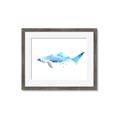 Picture of Blue Splash Shark III _GroupedProduct_Rectangle_Landscape_Mini_ _GroupedProduct_Rectangle_Landscape_Framed_Matted_