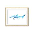 Picture of Blue Splash Shark III _GroupedProduct_Rectangle_Landscape_Mini_ _GroupedProduct_Rectangle_Landscape_Framed_Matted_