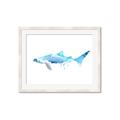 Picture of Blue Splash Shark III _GroupedProduct_Rectangle_Landscape_Mini_ _GroupedProduct_Rectangle_Landscape_Framed_Matted_