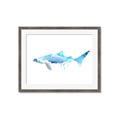 Picture of Blue Splash Shark III _GroupedProduct_Rectangle_Landscape_Mini_ _GroupedProduct_Rectangle_Landscape_Framed_Matted_