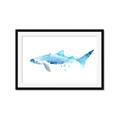 Picture of Blue Splash Shark III _GroupedProduct_Rectangle_Landscape_Mini_ _GroupedProduct_Rectangle_Landscape_Framed_Matted_