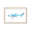 Picture of Blue Splash Shark III _GroupedProduct_Rectangle_Landscape_Mini_ _GroupedProduct_Rectangle_Landscape_Framed_Matted_