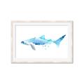 Picture of Blue Splash Shark III _GroupedProduct_Rectangle_Landscape_Mini_ _GroupedProduct_Rectangle_Landscape_Framed_Matted_