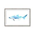 Picture of Blue Splash Shark III _GroupedProduct_Rectangle_Landscape_Mini_ _GroupedProduct_Rectangle_Landscape_Framed_Matted_