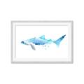 Picture of Blue Splash Shark III _GroupedProduct_Rectangle_Landscape_Mini_ _GroupedProduct_Rectangle_Landscape_Framed_Matted_