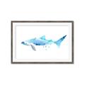 Picture of Blue Splash Shark III _GroupedProduct_Rectangle_Landscape_Mini_ _GroupedProduct_Rectangle_Landscape_Framed_Matted_